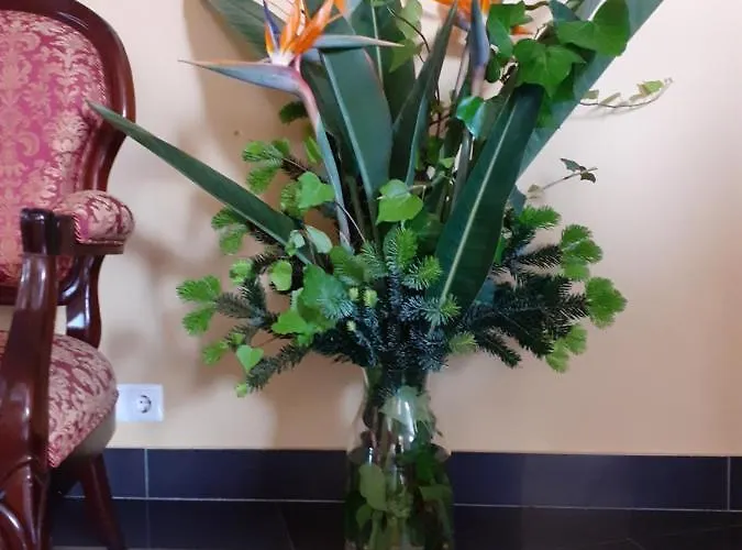 Hotel Principe Da Beira Donas